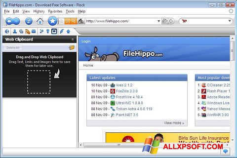 Screenshot Flock Windows XP