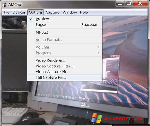 Screenshot AMCap Windows XP