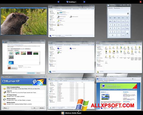 Screenshot Dexpot Windows XP
