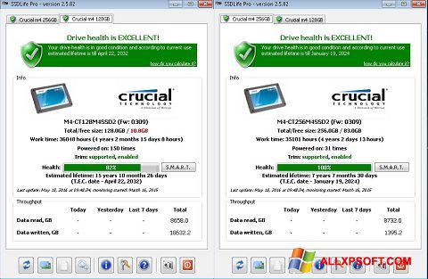 Screenshot SSDLife Windows XP