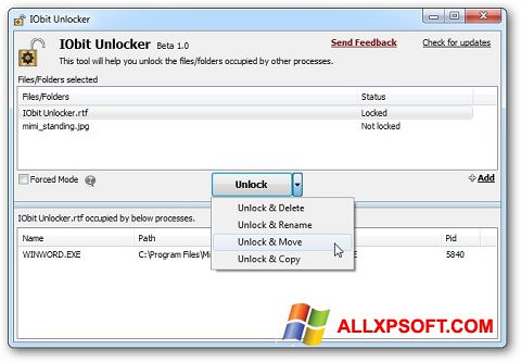 Screenshot IObit Unlocker Windows XP